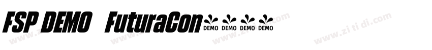 FSP DEMO   FuturaCon字体转换